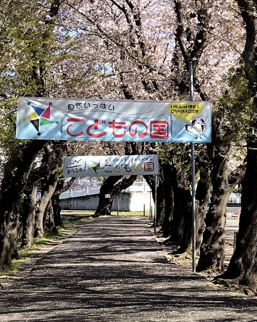 こどもの国駅からこどもの国への通り